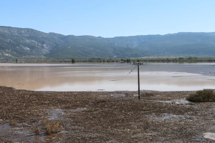 Επίδραση των πλημμύρων στη γονιμότητα του εδάφους