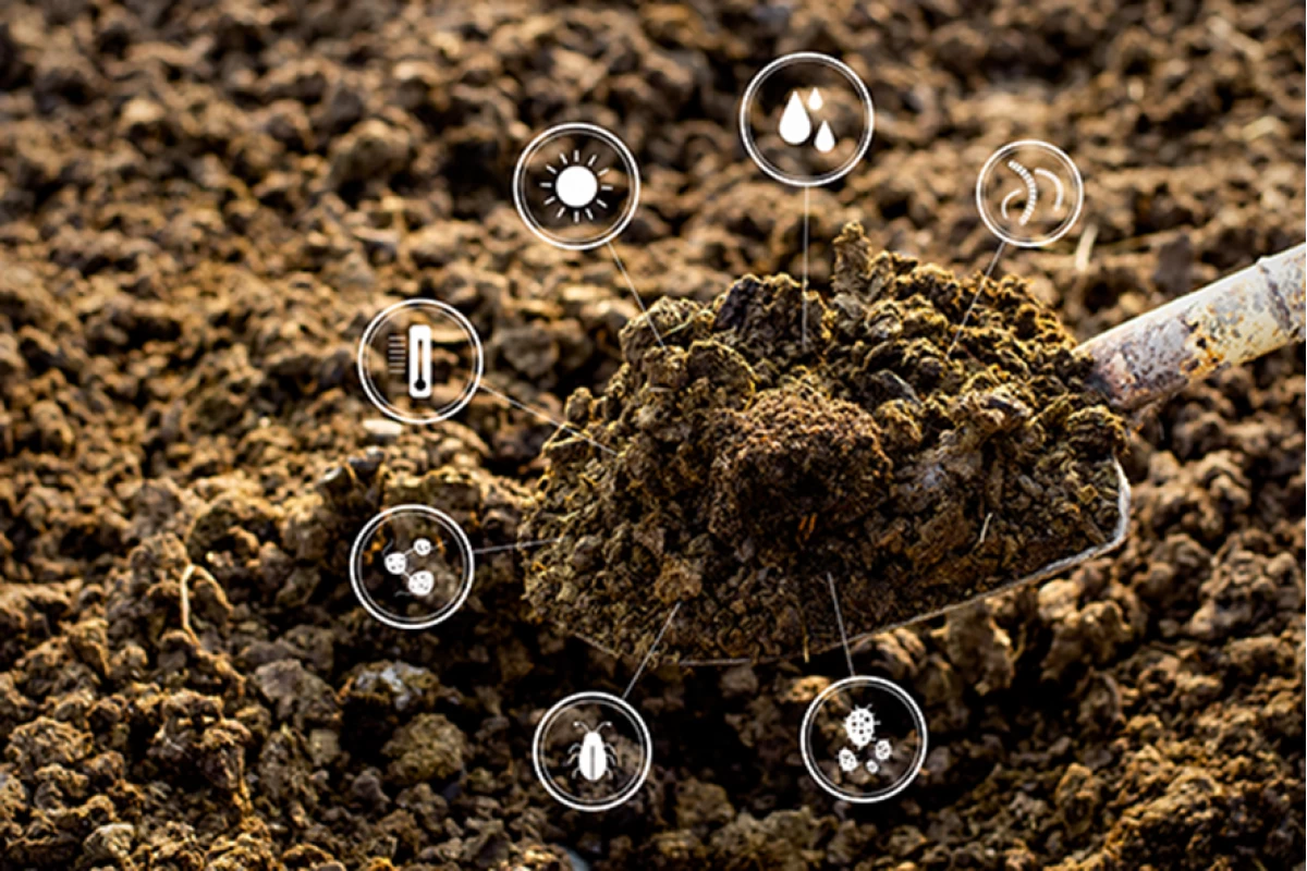 Soil analyses