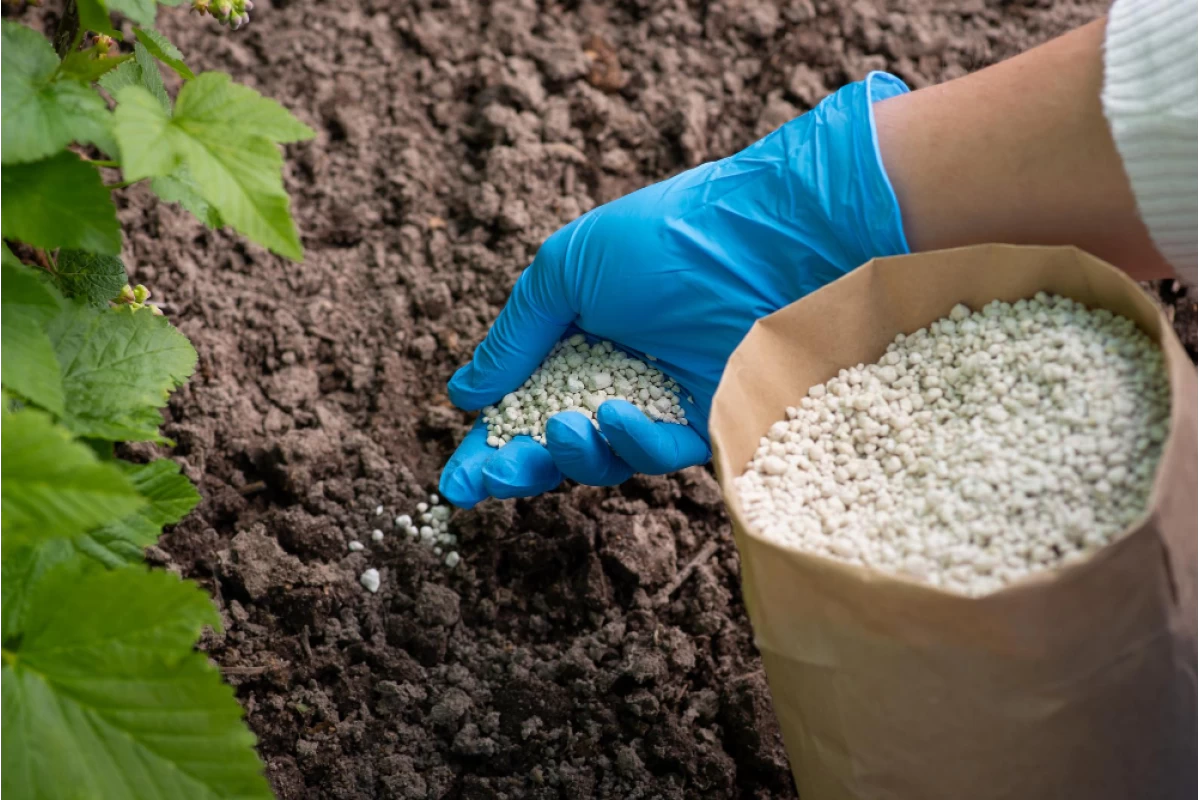 Fertilizers