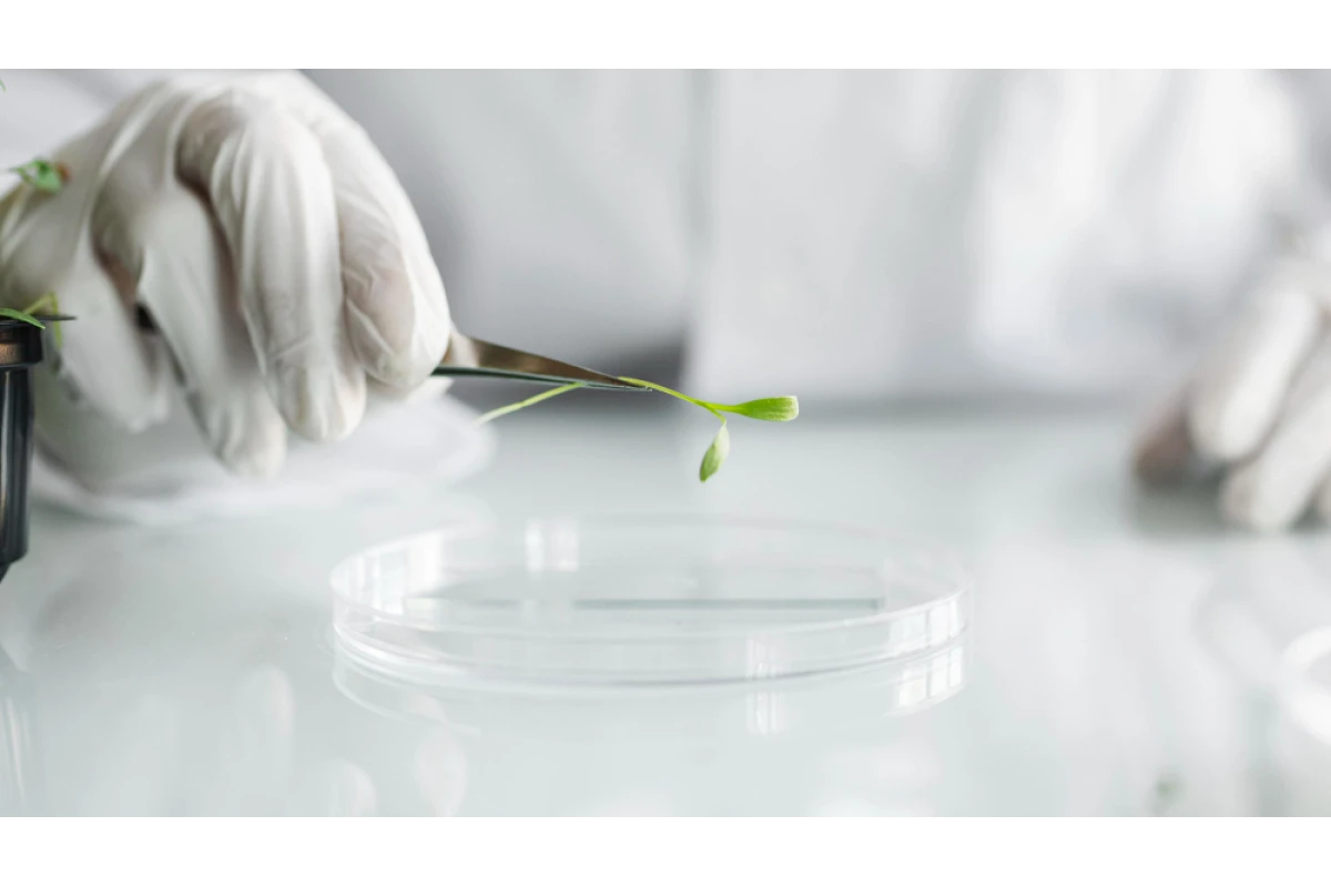 Microbiological Analysis of Plant Tissues