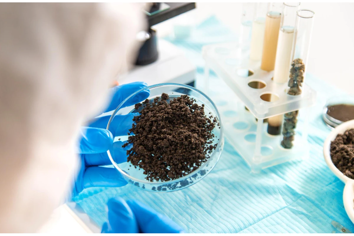 Soil Microbiological Analysis