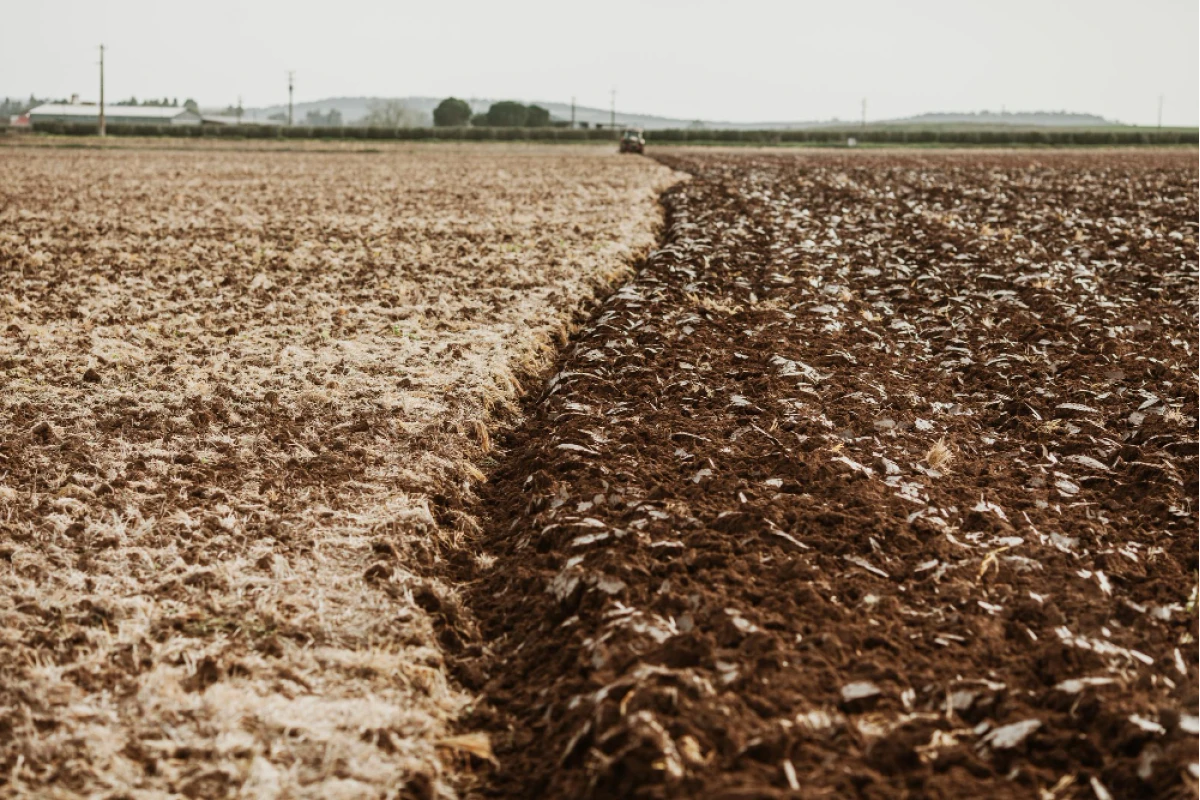 Eco-Scheme P1-31.4-5 – On-Site Composting & Soil Analysis