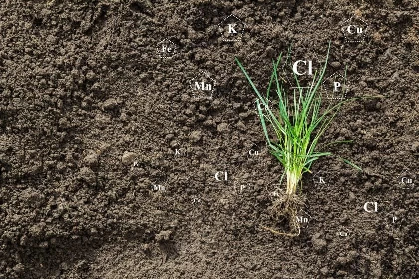 Close to the farmer with scientific knowledge and documentation.